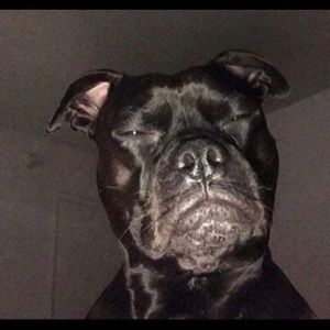 Meet your Posher, Devin